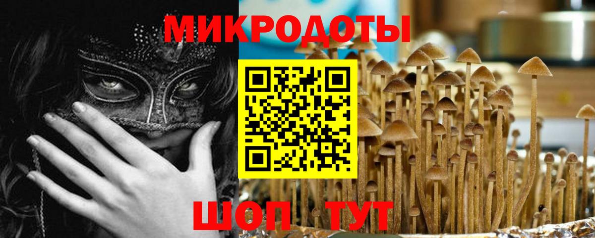 Псилоцибиновые грибы MAGIC MUSHROOMS Кингисепп