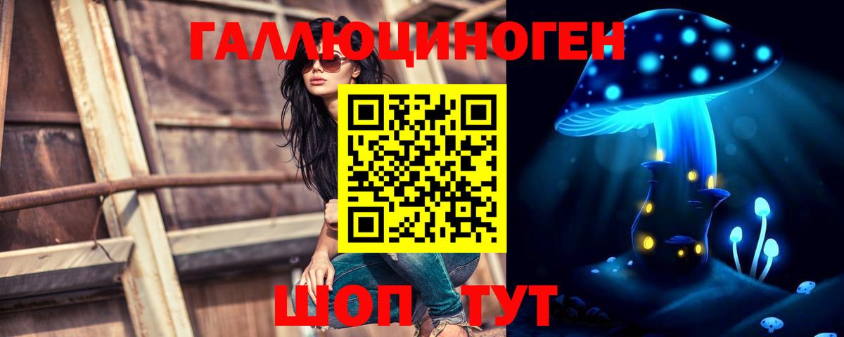 Кингисепп  Псилоцибиновые грибы мухоморы  Вход с VPN 